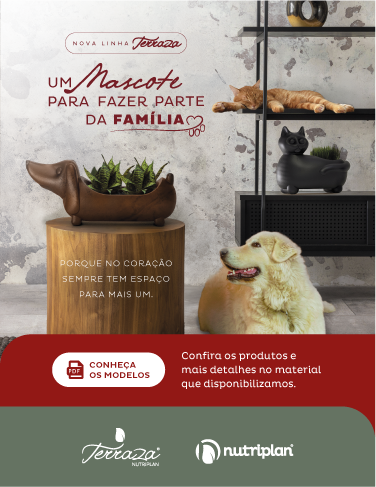 Imagem Responsiva